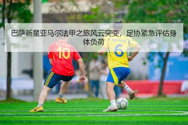 ba-sa-xin-xing-ya-ma-er-fa-jia-zhi-lv-feng-yun-tu-bian-zu-xie-jin-ji-ping-gu-shen-ti-fu-he-2-336.jpg